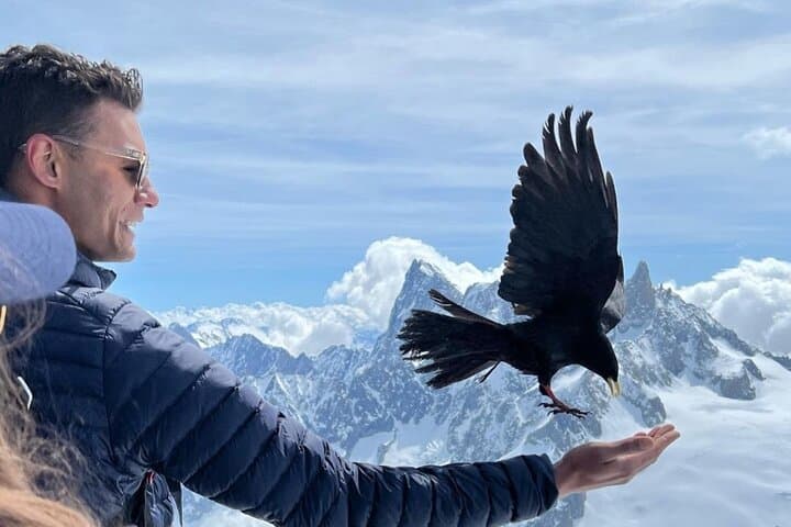 Hungry birds above 3800m
