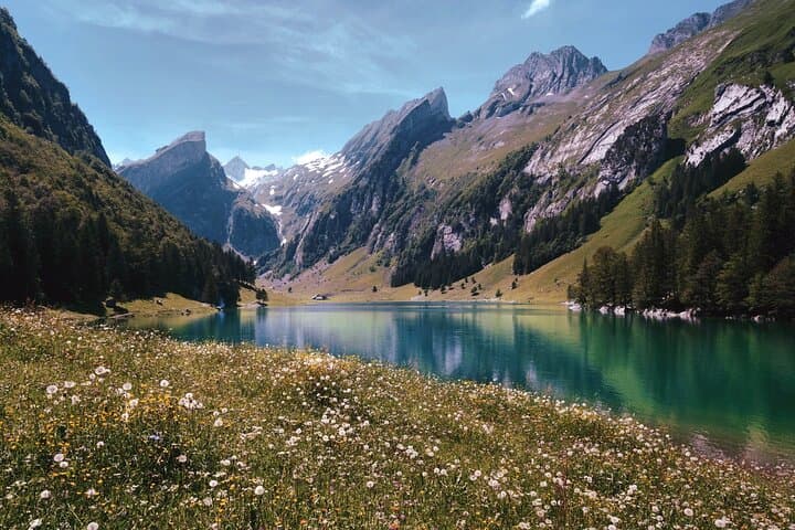 Full Day Tour to Zürich including Rhine Falls