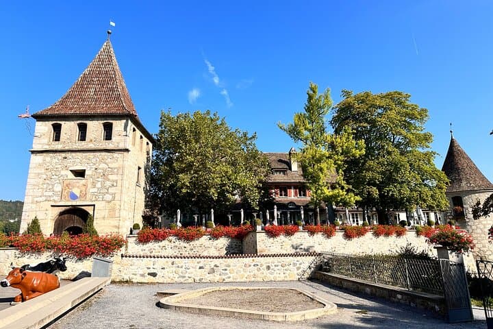 Private Half-Day Tour to the Rhine Falls with Pick-up at Hotel