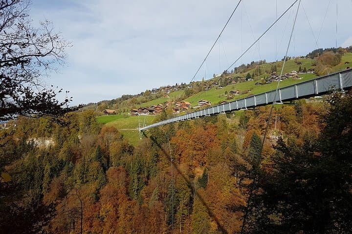 Crash Landing on you Film Location Private Tour from Interlaken