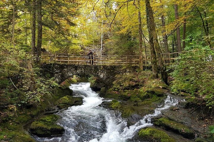 Giessbach nature park