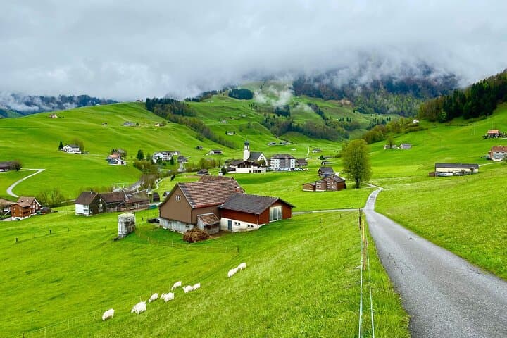 Switzerland Picturebook Private Tour: Farm, Villages, & Mountains