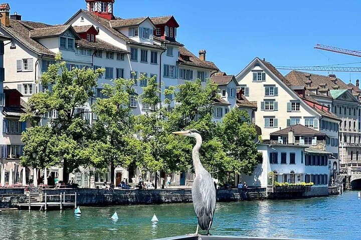 Small Group Zurich Walking Tour, Cruise and LINDT Factory