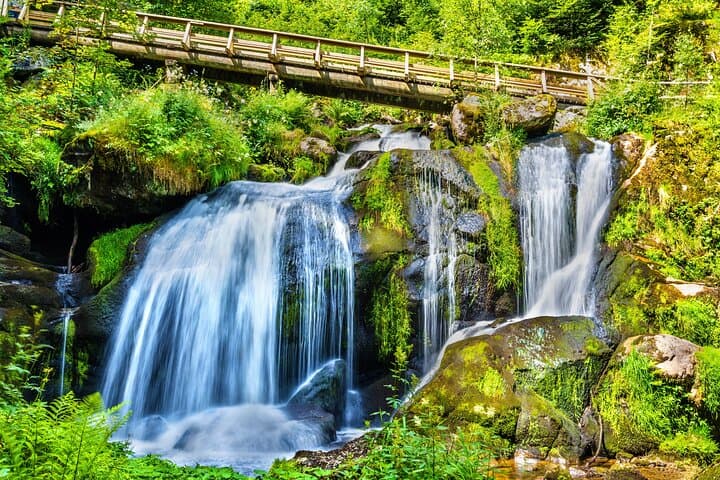 Trip from Zurich to Germany's Black Forest & Swiss Rhine Falls