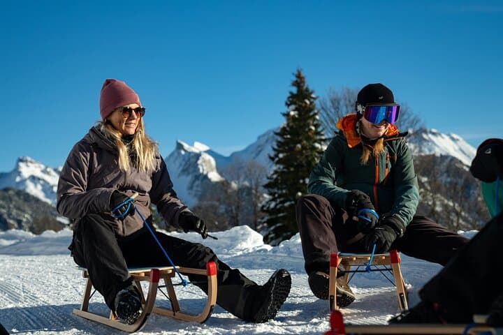 Day Sledding in Interlaken