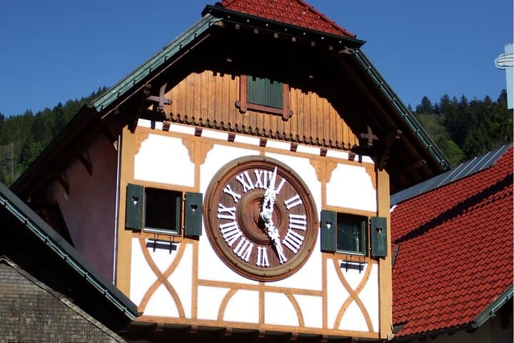 Zürich: Private Car Tour to Rhine Falls, Titisee and Black Forest