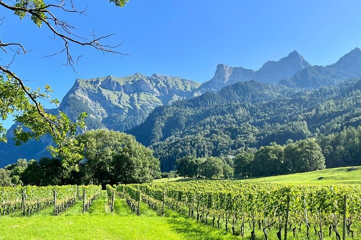Private Tour to Heidiland and Liechtenstein from Zurich