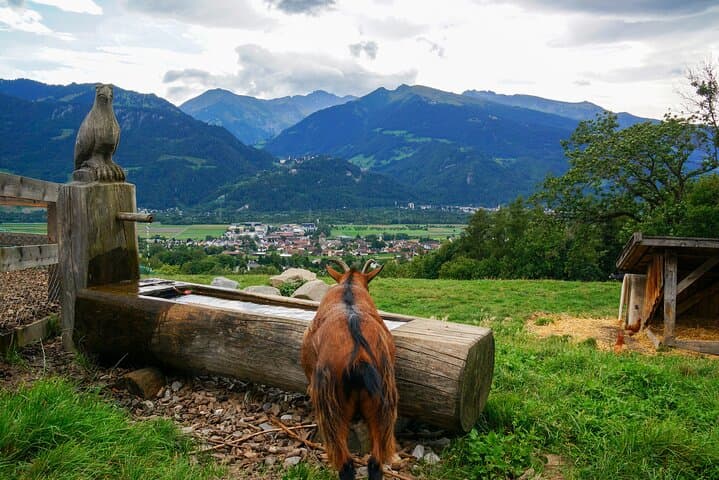 Private Tour to Heidiland and Liechtenstein from Zurich
