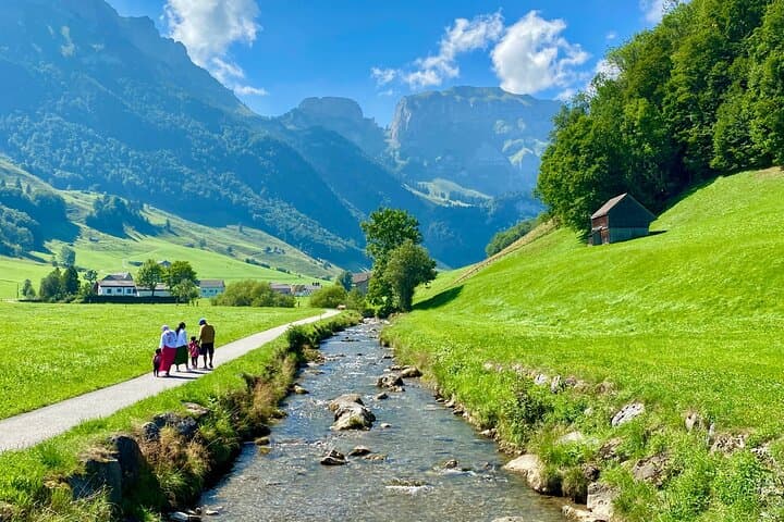 Switzerland Picturebook Private Tour: Farm, Villages, & Mountains