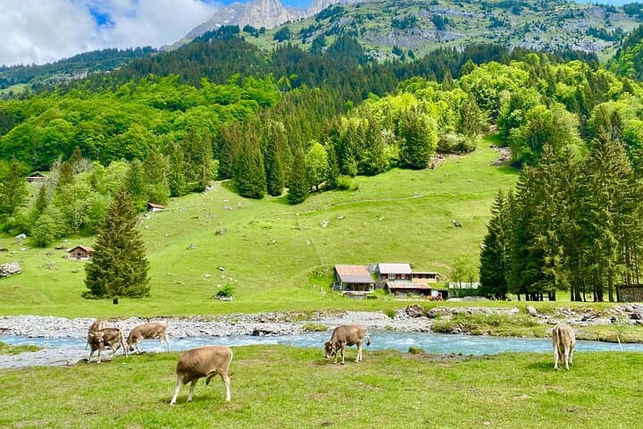 Switzerland Picturebook Private Tour: Farm, Villages, & Mountains