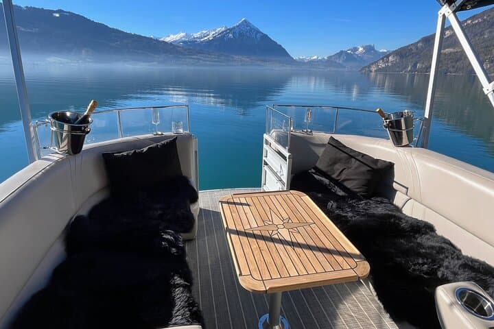 Private Sightseeing Boat Trip on Lake Thun, Interlaken