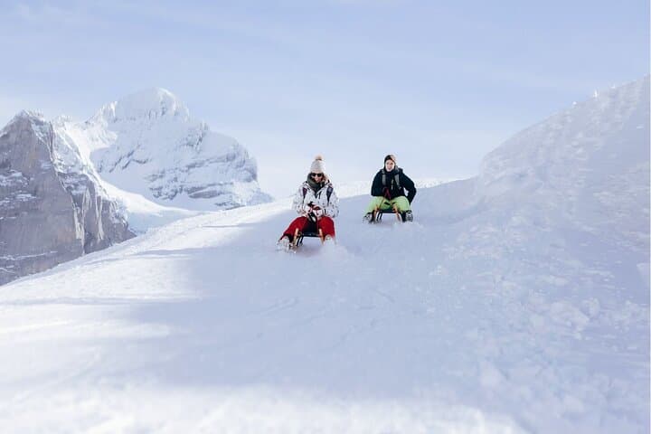 Guided Excursion to Jungfraujoch, Grindelwald and Lauterbrunnen from Lucerne