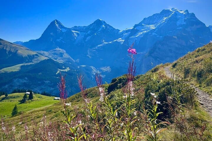 Self Guided Allmendhubel and Lauterbrunnen Trip from Zurich