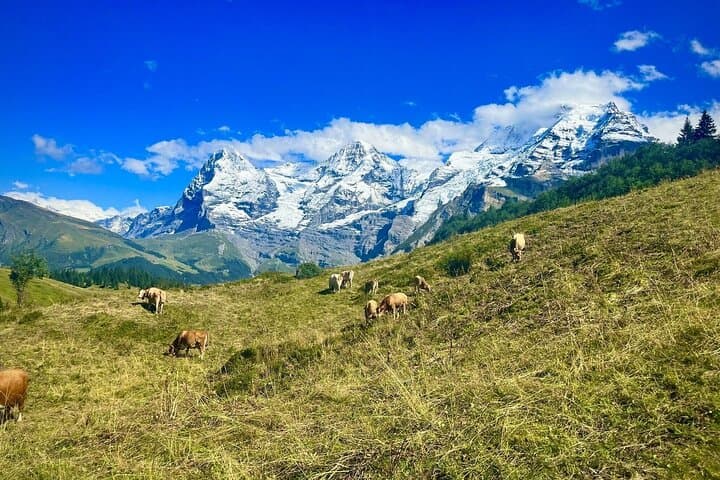 Self Guided Allmendhubel and Lauterbrunnen Trip from Zurich