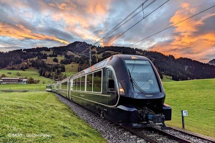 Scenic Swiss Experience Trip in One Day