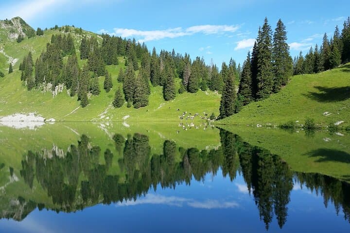 Scenic Swiss Experience Trip in One Day