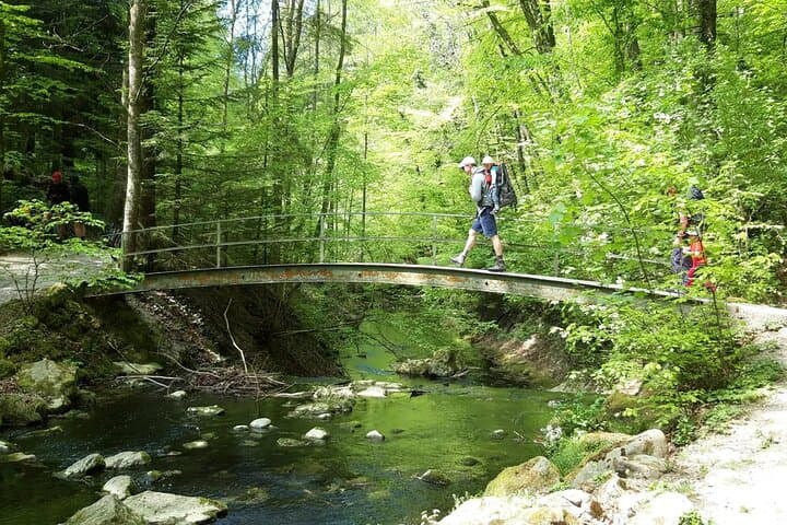 A very beautiful section of the Tobelweg.