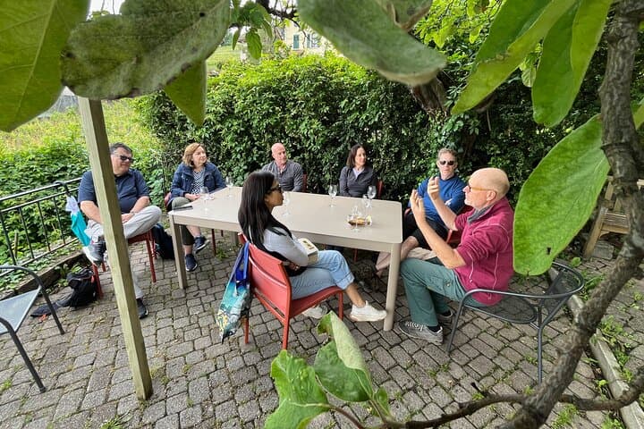 Gourmet Food and Wine Tasting Walk in Lavaux