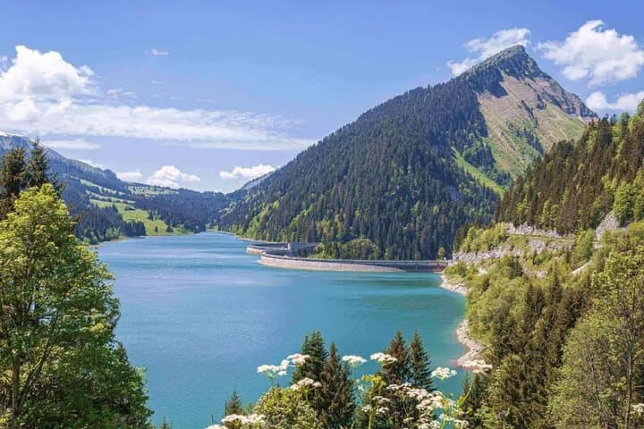 Private Scenic Trip through the Swiss Alps from Basel