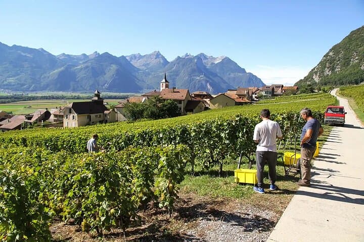 Lausanne Culinary Boat Trip & Vineyard Visit from Zurich