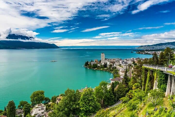Lausanne Culinary Boat Trip & Vineyard Visit from Zurich