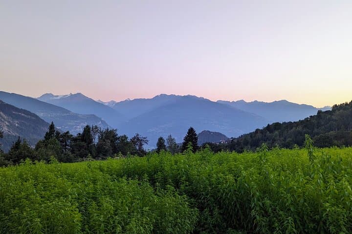 A Wellness Session in Ayent