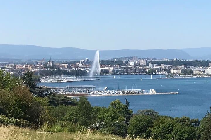 View from Pré Byron in Cologny