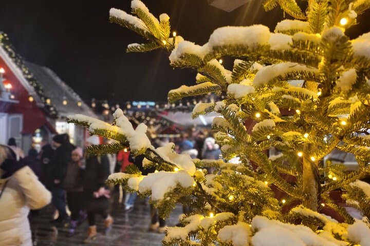 Zurich Christmas Market Tour