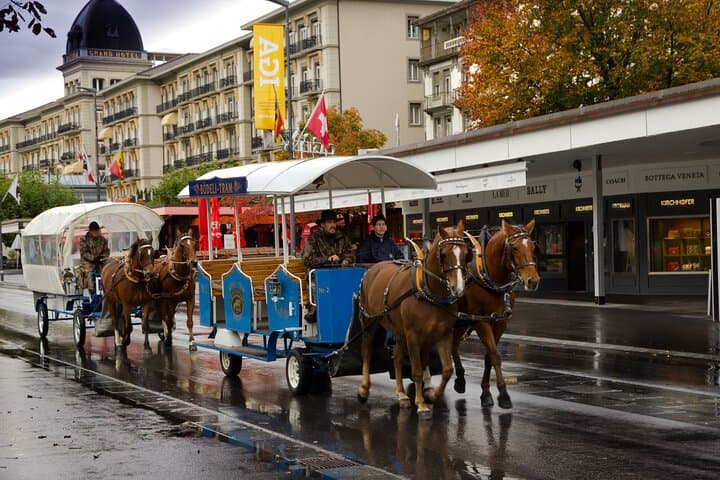 Zurich Airport ZRH to Interlaken Private Transfer Service