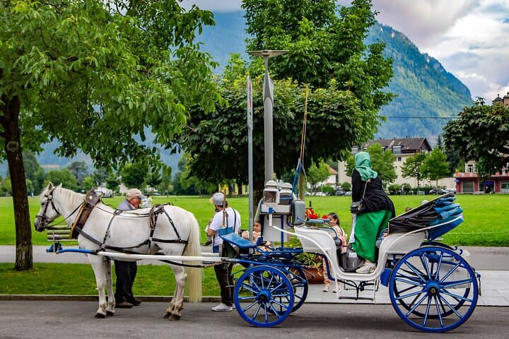 Zurich Airport ZRH to Interlaken Private Transfer Service