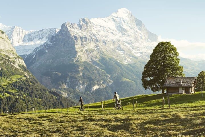 Mount First Gondola Ride from Grindelwald