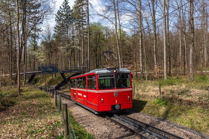 Zurich Panoramic Adventure: Cogwheel Train, Funicular & Boat Tour