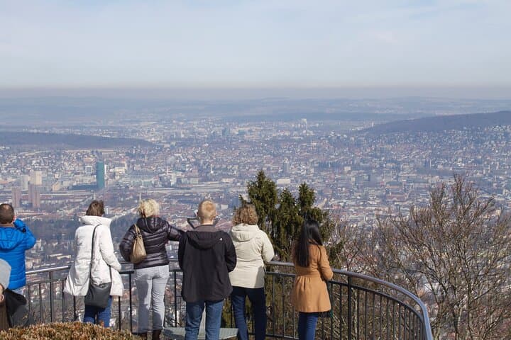 Zurich Panoramic Adventure: Cogwheel Train, Funicular & Boat Tour