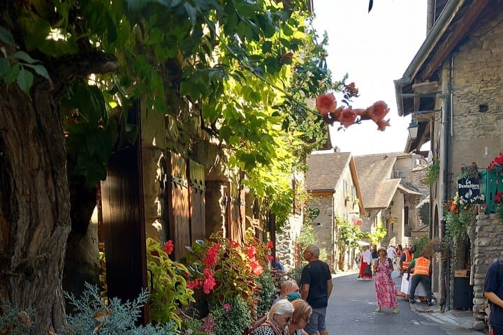 4 Hour Private Tour of the Medieval Town of Yvoire near Geneva