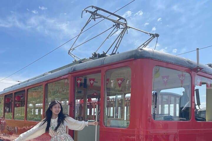 Lucerne Tour with Fondue Tasting at Rigi Mountains