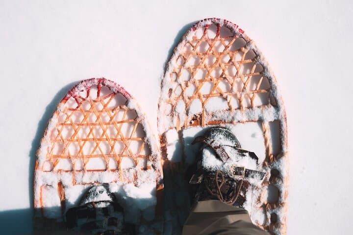 Snowshoe Hiking Day from Lucerne