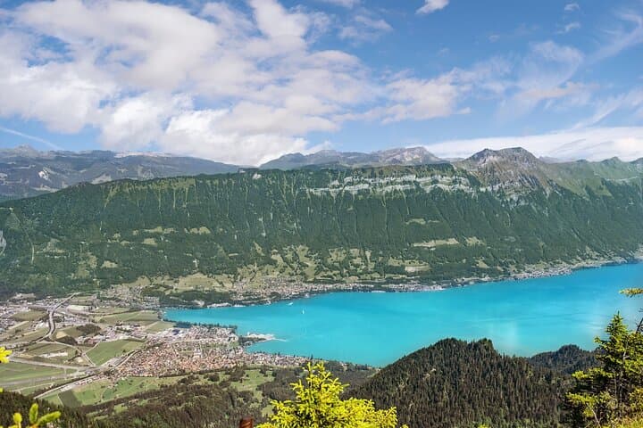 From Zurich: Grindelwald Canyon Swing & Interlaken Day trip