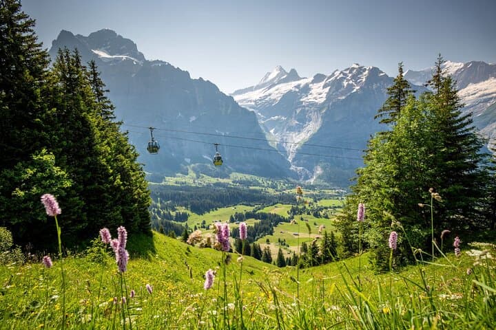 Lausanne Grindelwald First Cable Car and Interlaken Top Adventure