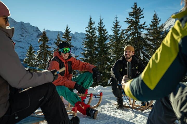 Day Sledding in Interlaken