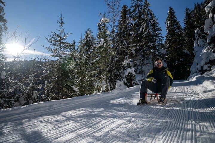 Day Sledding in Interlaken
