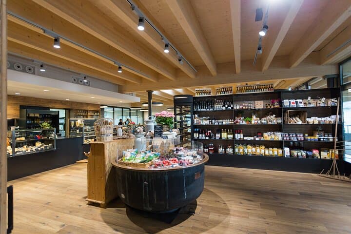 Rapperswil, Cheese, and Lindt Home of Chocolate from Zurich