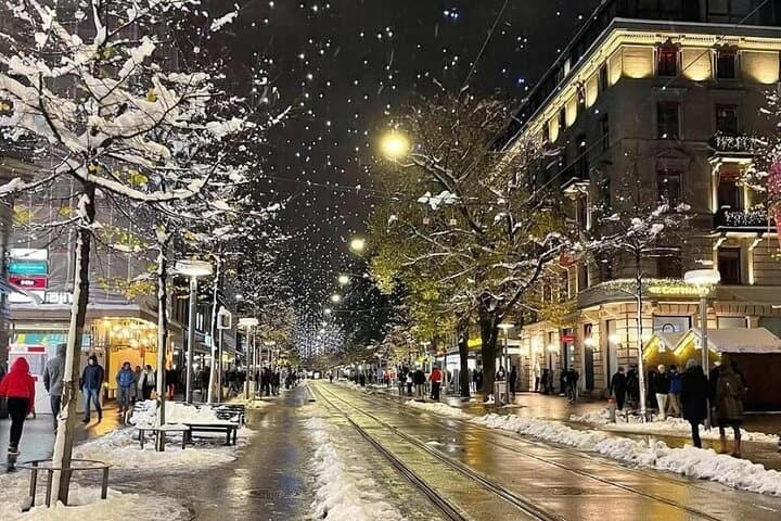 Zurich Two Hour VIP City Tour by Private Car