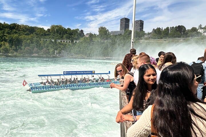 Private Half-Day Tour to the Rhine Falls with Pick-up at Hotel