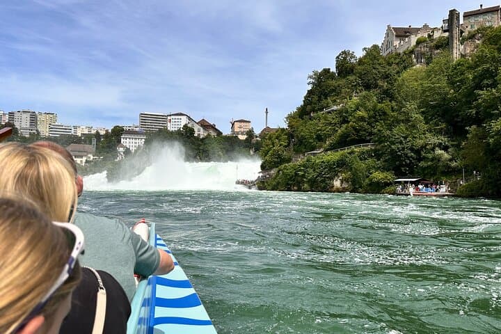 Private Half-Day Tour to the Rhine Falls with Pick-up at Hotel