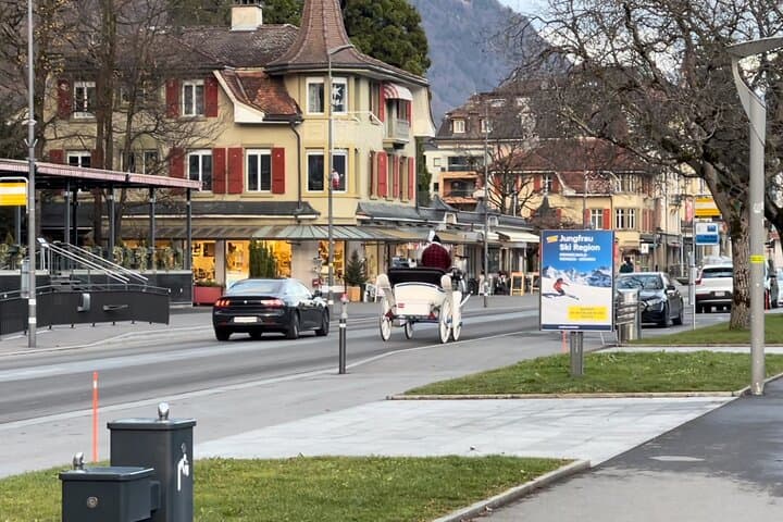 Horse-drawn carriage ride