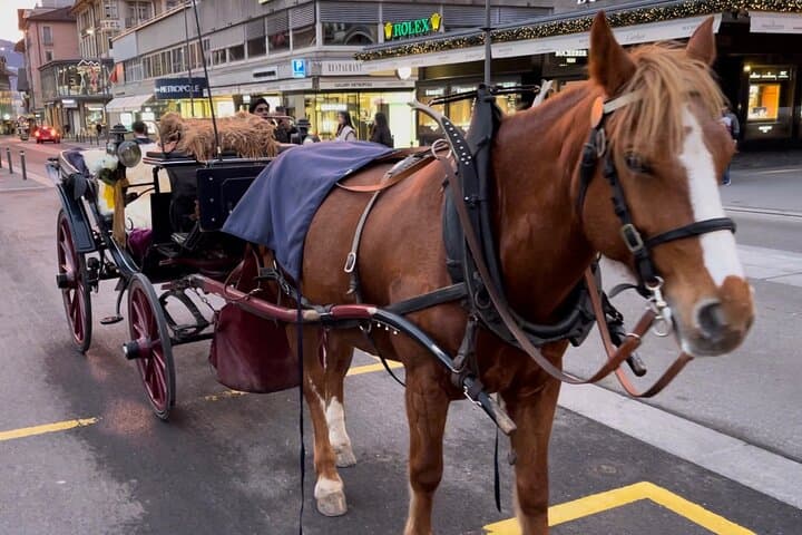 Horse-drawn carriage ride