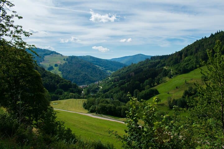 Black Forest & Rhine Falls Day Trip from Zurich + Free Photos