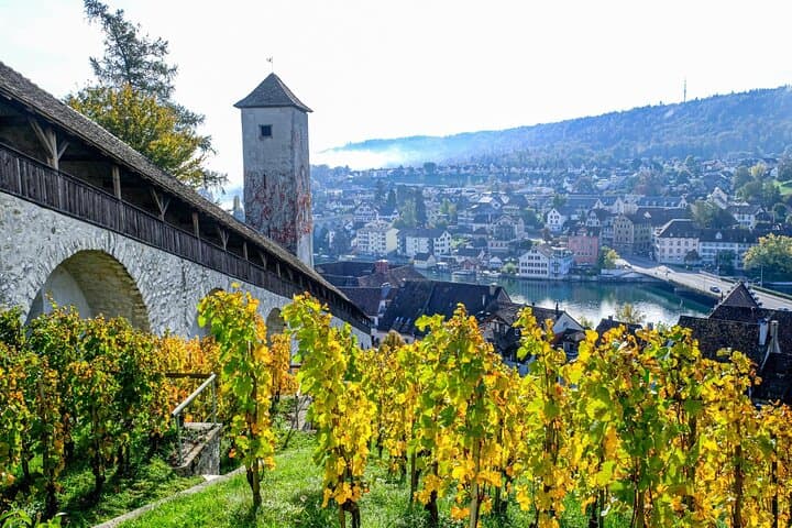 Explore Schaffhausen in 120 Minutes with a Local - Private Tour
