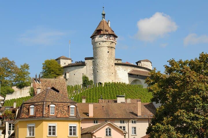 Explore Schaffhausen in 120 Minutes with a Local - Private Tour