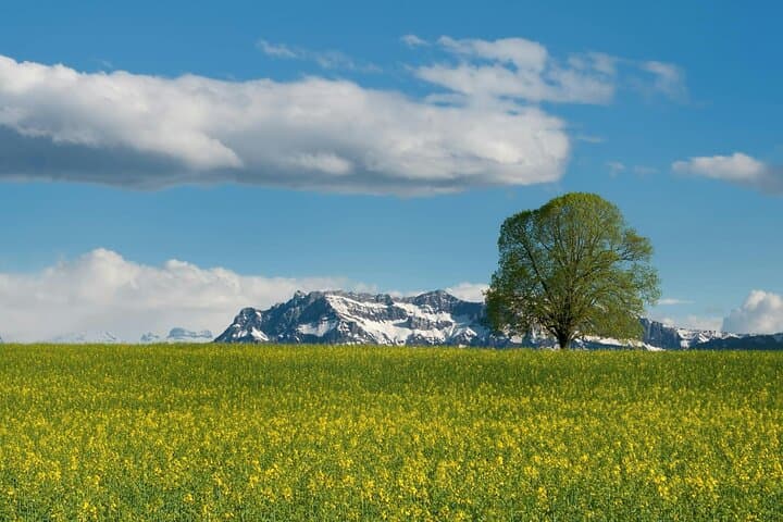 Mt Titlis and Lucerne Day Trip from Zurich with Free Photoshoot